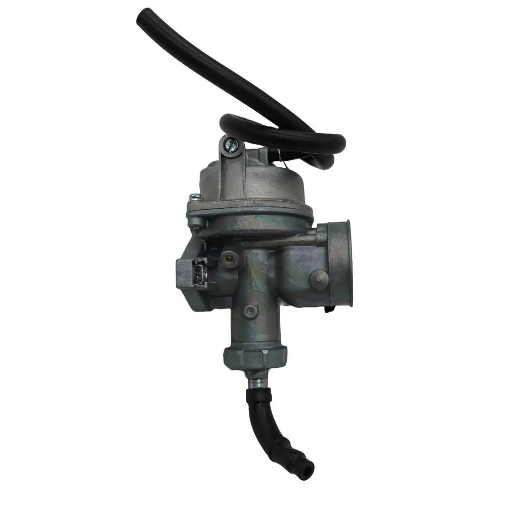 CA-HA-009(4).webp