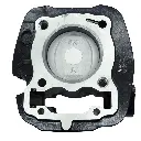 OL-TH-005.webp