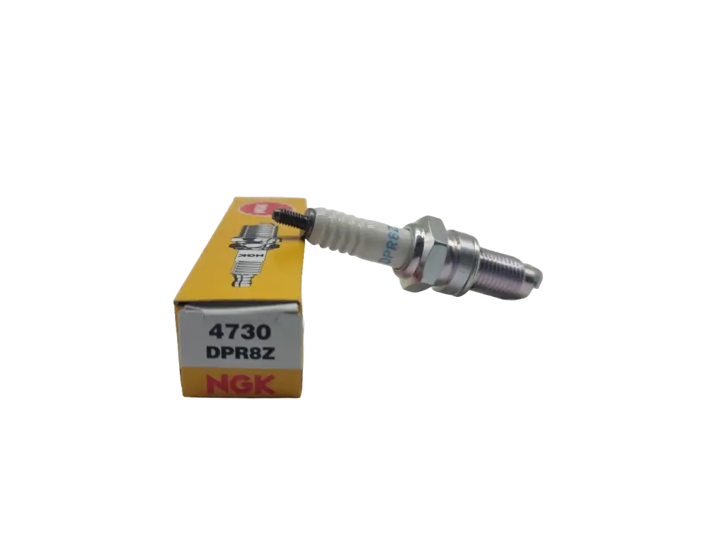 Bujia NGK DPR8Z