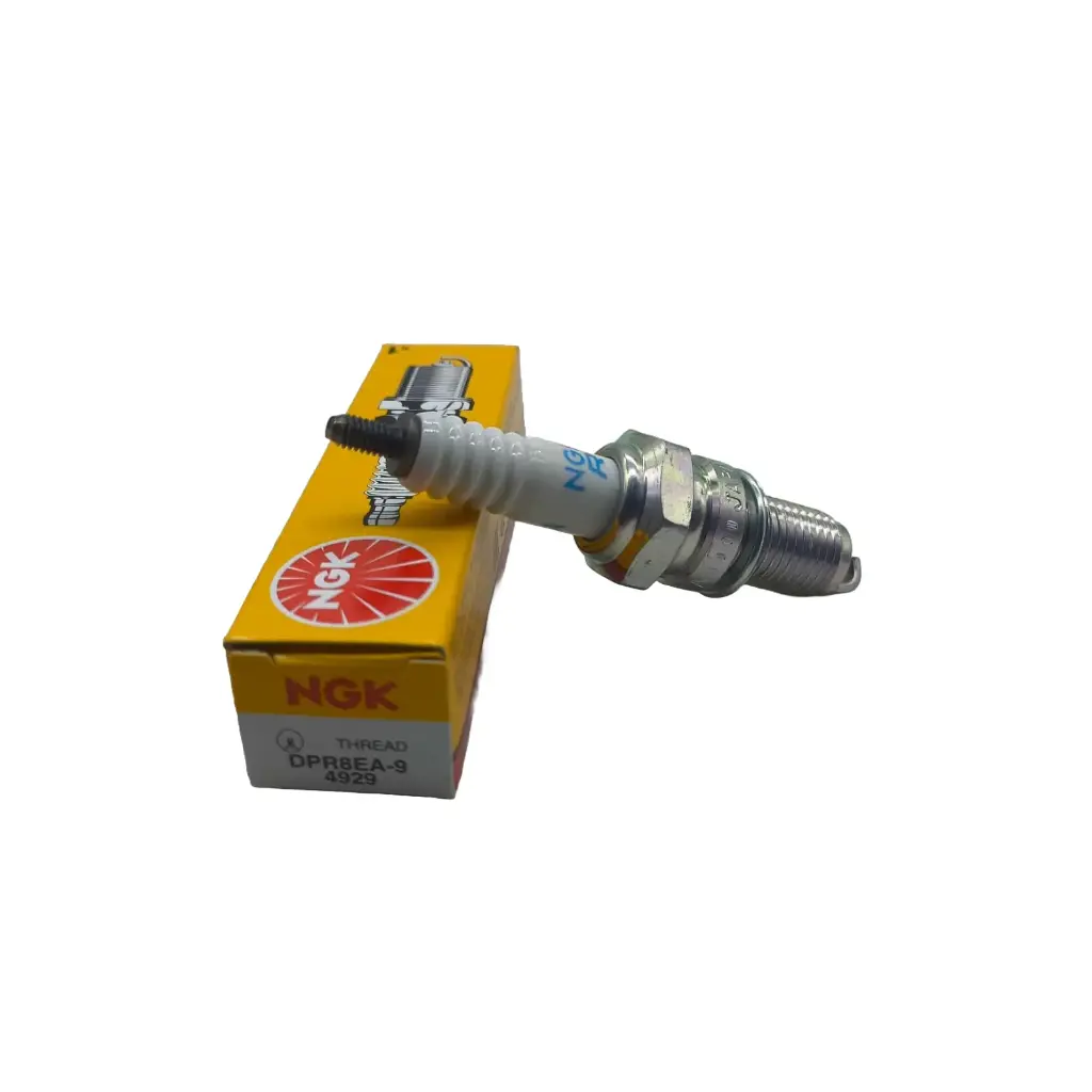 Bujia NGK DPR8EA-9