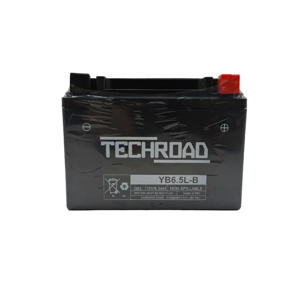 Batería TechRoad YB6.5L-B AGM (Gel) 