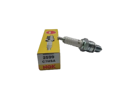 [BJ-UN-02599] Bujia NGK C7HSA