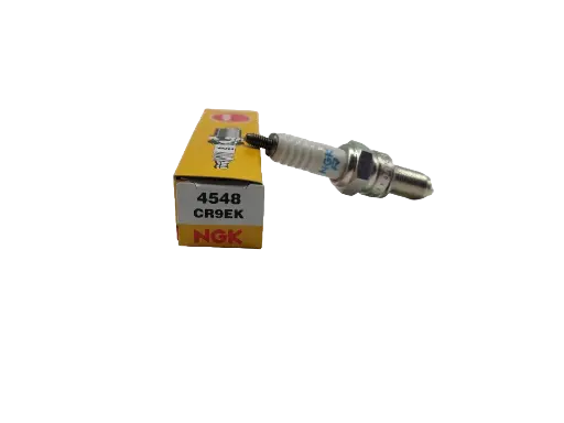 [BJ-UN-04548] Bujia NGK CR9EK