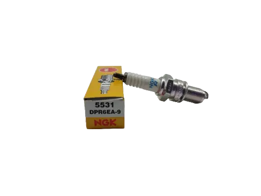 [BJ-UN-05531] Bujia NGK DPR6EA-9