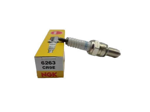 [BJ-UN-06263] Bujia NGK CR9E