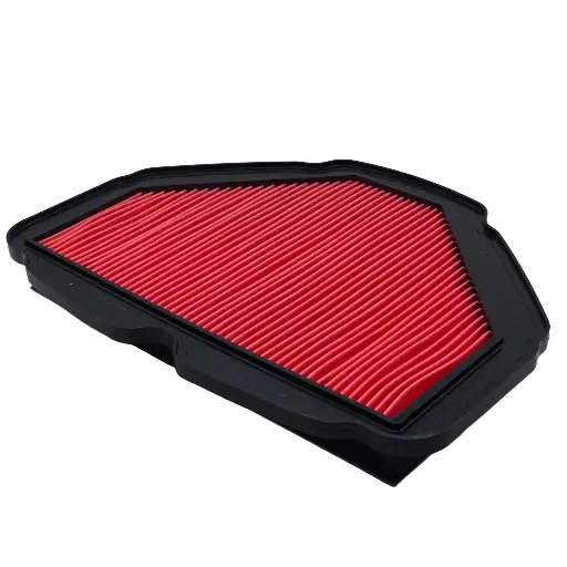 [FR-HA-024] Filtro de Aire Honda GoldWing GL 1800 2018-2024